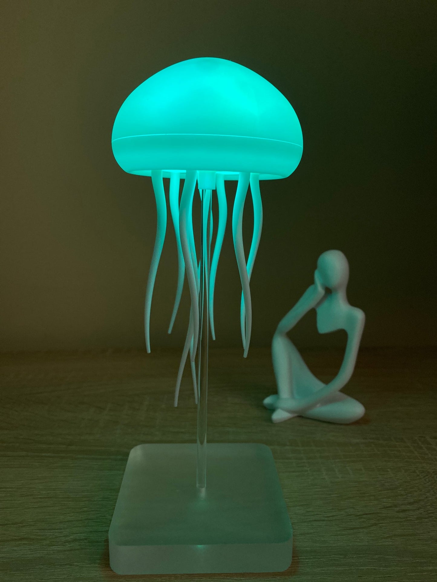 The jellyfish