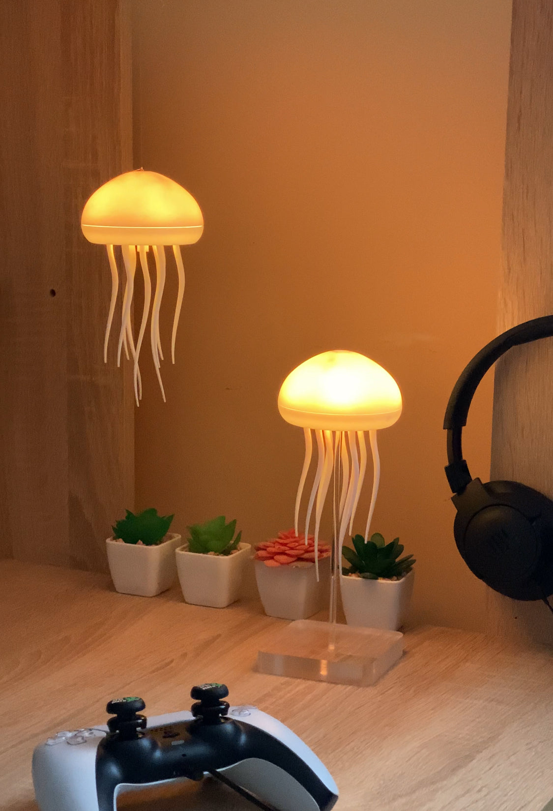The jellyfish