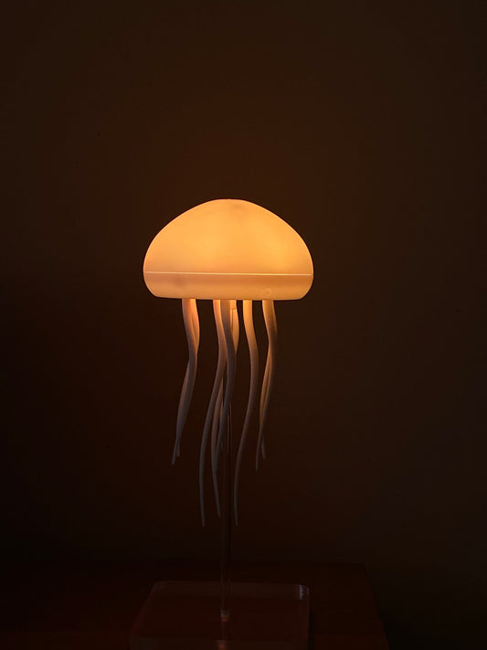 The jellyfish