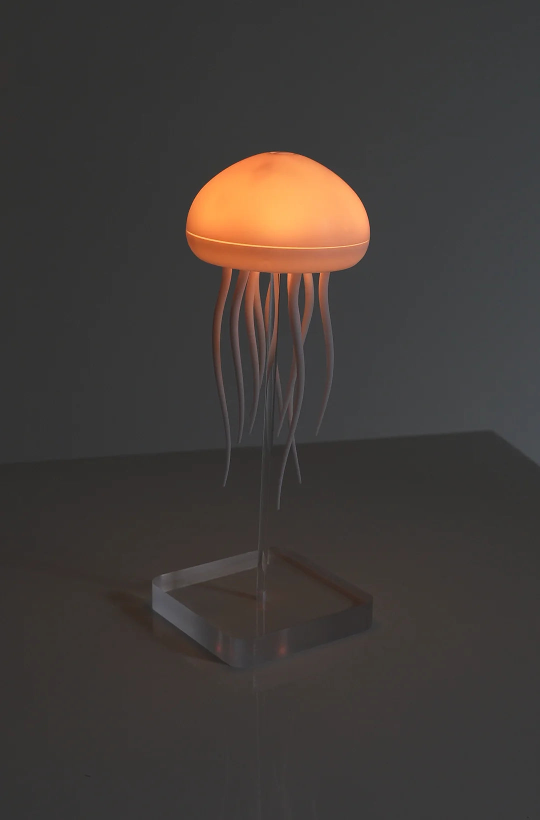 The jellyfish